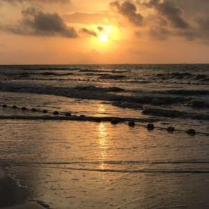 亚洲老女人毛绒绒
