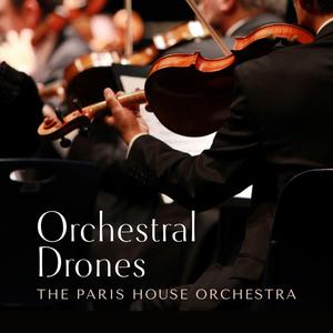 亚洲老女人毛绒绒
